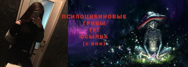 трава Няндома