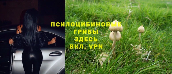 трава Няндома