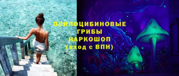 мескалин Осинники