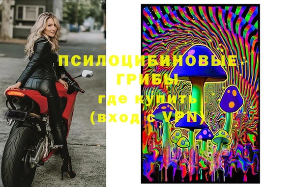 альфа пвп Нязепетровск