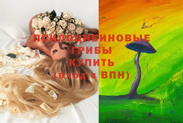 мескалин Осинники